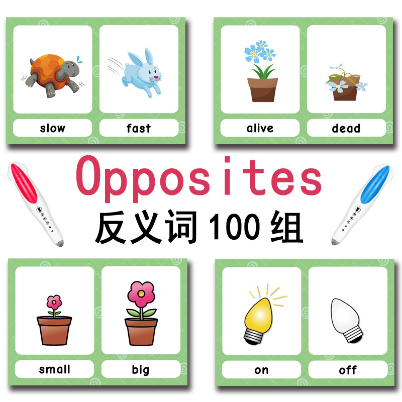 The 100 Groups Opposites Flash - Kids Education Card 评论和价格