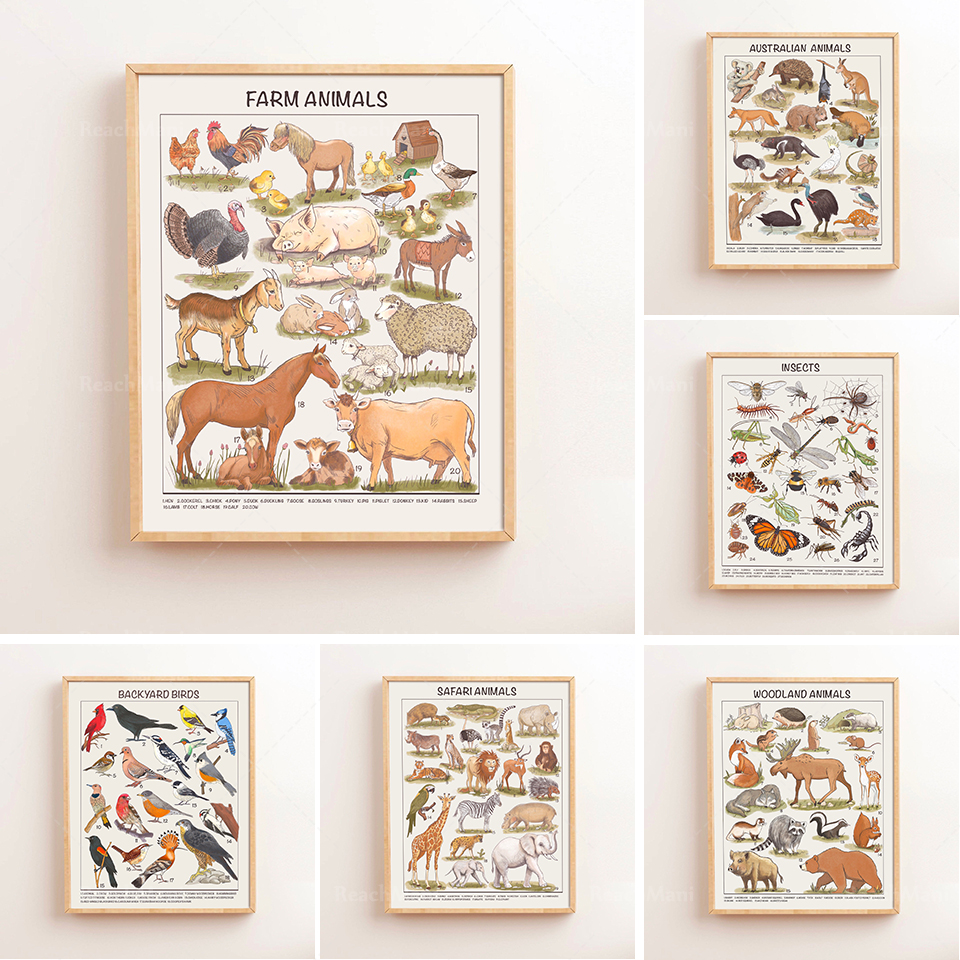 Safari Animals Educational Pos - Kids Education Download 评论和价格