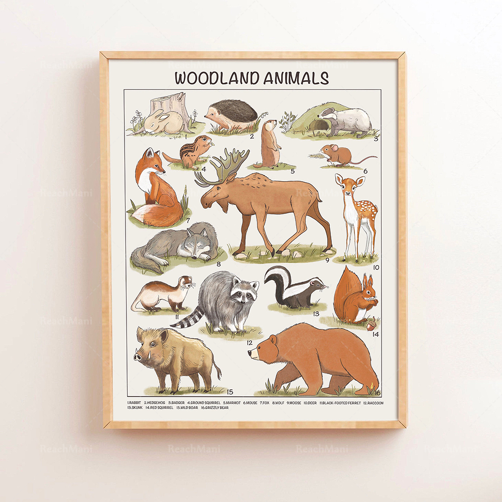 Safari Animals Educational Pos - Kids Education Download 评论和价格