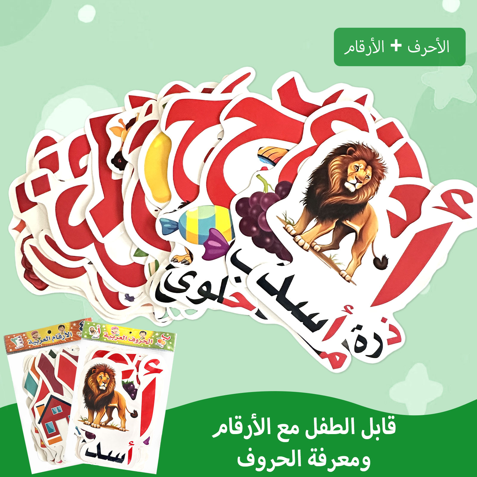 Arabic Alphabet And Number Fla - Kids Education Card 评论和价格