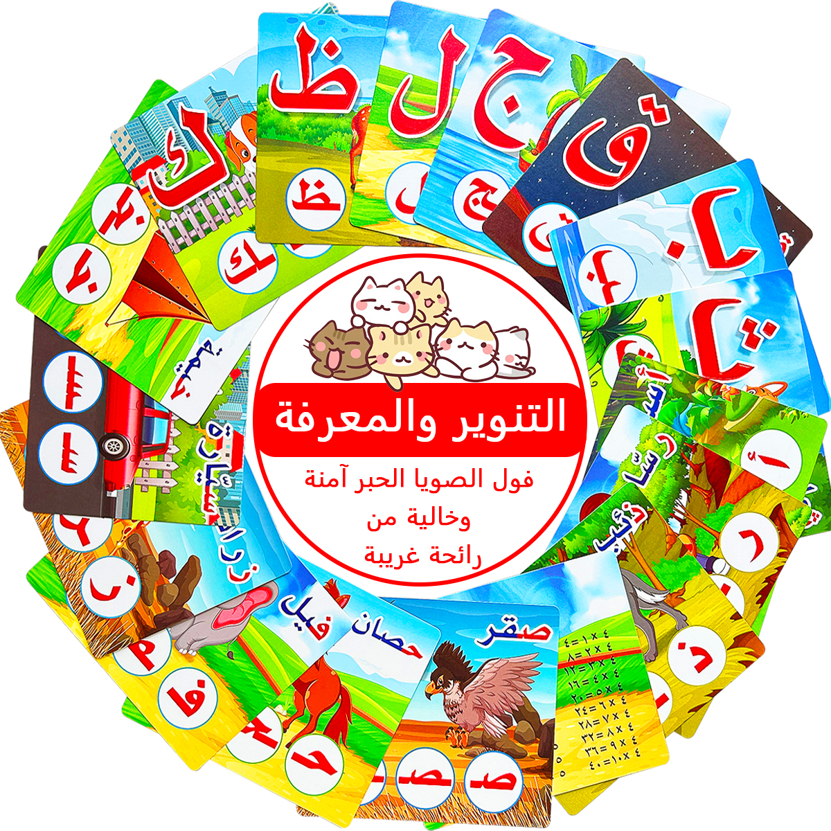 28Pcs Double Sided Arabic Alph - Kids Education Card 评论和价格