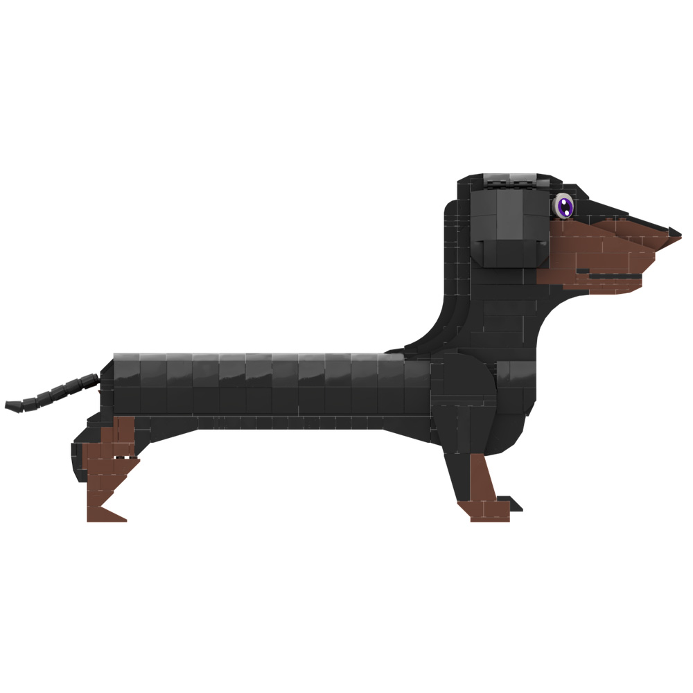 2026 New MOC Germany Dachshund - Kids Education In Germany 评论和价格
