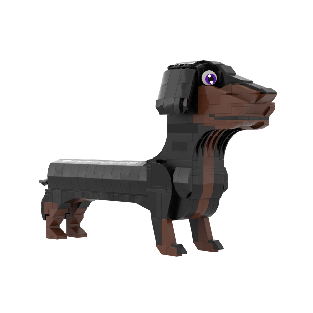2026 New MOC Germany Dachshund - Kids Education In Germany 评论和价格