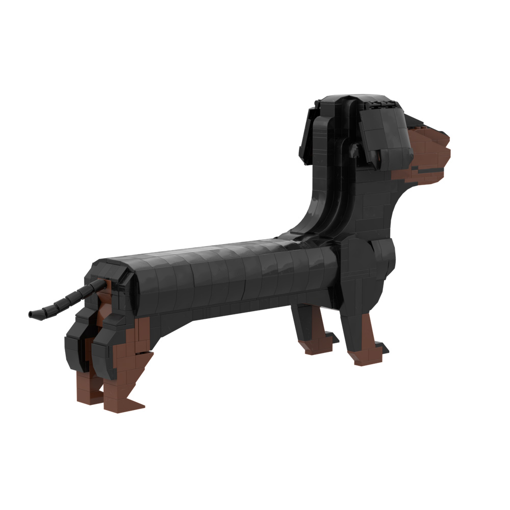 2026 New MOC Germany Dachshund - Kids Education In Germany 评论和价格